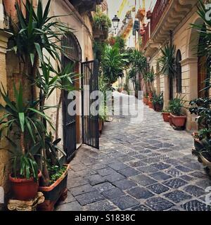 Plantes sur rue étroite de l'île d'Ortygie, partie historique de la ville de Syracuse, Sicile, Italie Banque D'Images