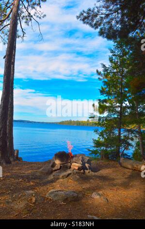 Feu de flammes orange par la forêt avec vue sur le lac Banque D'Images
