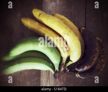 Vue en angle élevé de bananes de différents stades de maturation sur une surface en bois Banque D'Images