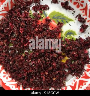 Un bac de Roselle (Hibiscus sabdariffa), Chiang Mai, Thaïlande Banque D'Images