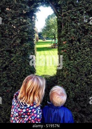 Peeking through the hedge Banque D'Images