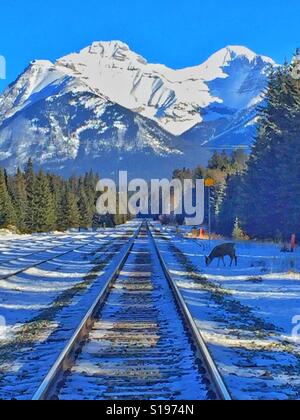 La voie de chemin de fer et le mont Cascade, Banff, Alberta, Canada Banque D'Images