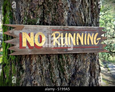 Un panneau "pas de course" affiché sur un arbre dans une forêt. Banque D'Images