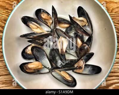 Moules au vin blanc et à la crème Banque D'Images