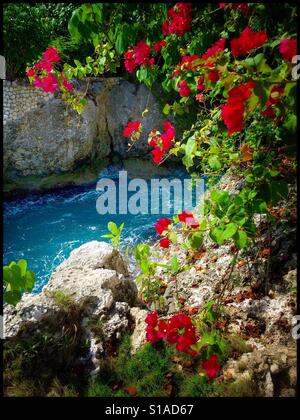 Côté Falaise, vue sur mer des Caraïbes bleu encadré par des fleurs tropicales, West End, Jamaïque Banque D'Images