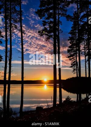 Coucher du soleil à Kielder Water et de la Forêt, Parc de Northumberland, Angleterre Banque D'Images