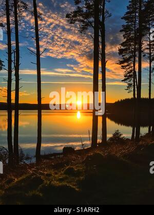 Coucher du soleil à Kielder Water, Northumberland Park, Angleterre Banque D'Images