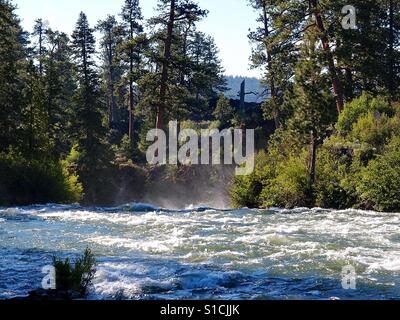 La rivière Deschutes dans le centre de l'Oregon s'écoule rapidement à la périphérie de Dillon Falls avec brouillard comme il coule plus d'avec arbres et buissons sauvages Ponderosa sur ses rives le long d'une journée d'été. Banque D'Images