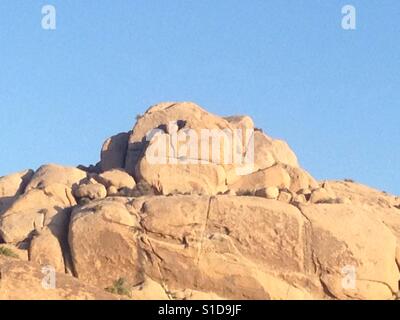 Joshua Tree Funny Face Rock Banque D'Images