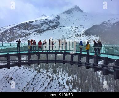 Glacier Skywalk, Parc National de Jasper, Canada Banque D'Images