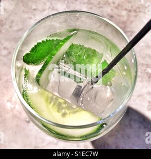 Gin Tonic et concombre à la menthe fraîche Banque D'Images