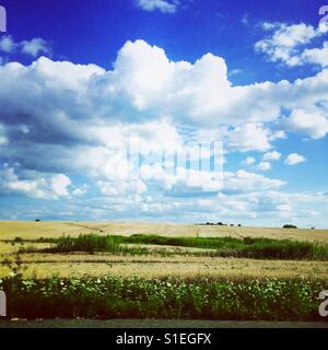 Puffy nuages blancs et ciel bleu sur un champ Banque D'Images