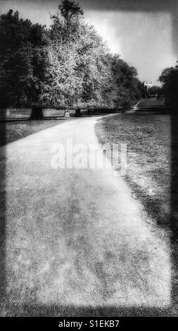 Sentier à travers du parc de Wollaton, Wollaton, Nottingham, Nottinghamshire, East Midlands, Angleterre Banque D'Images