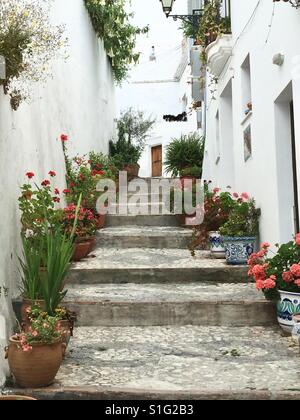 Un passage raide dans une colline à Frigliana, Nerja, Espagne. Joli pots de fleurs des deux côtés de la ligne d'étapes et une porte brune est sur la distance. Banque D'Images