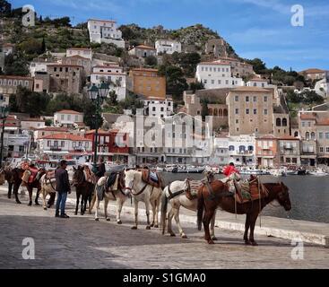 Les ânes à Hydra, Grèce Banque D'Images