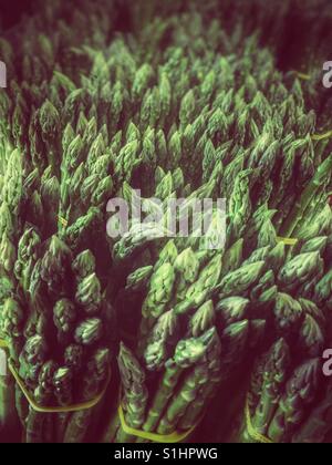 Les asperges en vente au Marché Jean-Talon, Montréal, Québec Banque D'Images