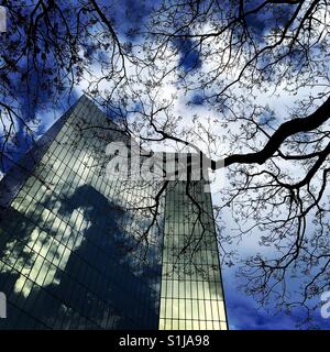 Immeuble de bureaux modernes avec des arbres dans la ville de Mexico Banque D'Images