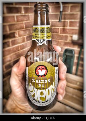 Hitachino Nest Saison du Japon de la bière. Brassée au Japon avec Koji (du riz malté) Banque D'Images