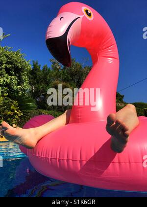 Relations sérieuses in de l'été. Pieds et pink flamingo dans piscine gonflable Banque D'Images