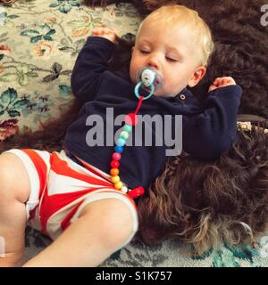 Onze mois du garçon endormi à côté d'un brown Labradoodle chien. Banque D'Images