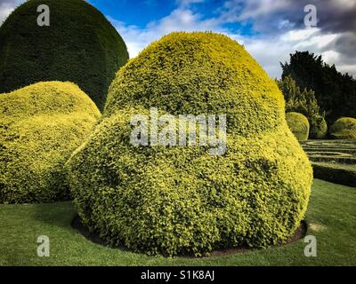 Jardins formels à Elvaston Castle Country Park..Derby Derbyshire Banque D'Images