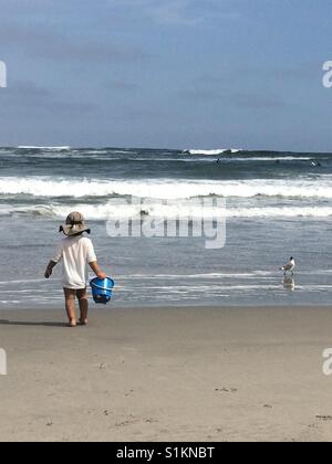 Vie sur la plage Banque D'Images