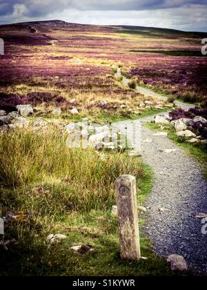 Sentier menant au sommet de la montagne Blorenge, parc national de Brecon Beacons, Galles du Sud. Banque D'Images