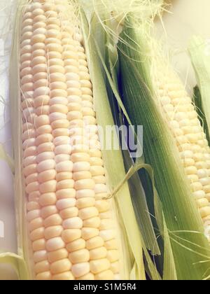 Venez déguster un épi de maïs close up, USA Banque D'Images