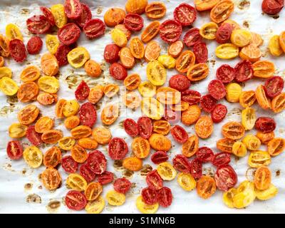 Les tomates raisins rôti lentement avec de l'huile d'olive puis congelés, prêts pour une nouvelle explosion de saveur dans l'hiver. Banque D'Images