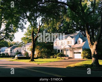 Une rue résidentielle dans la banlieue de New Jersey, USA. Banque D'Images