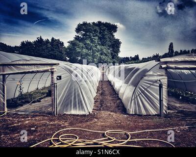 Pépinière jardin Banque D'Images