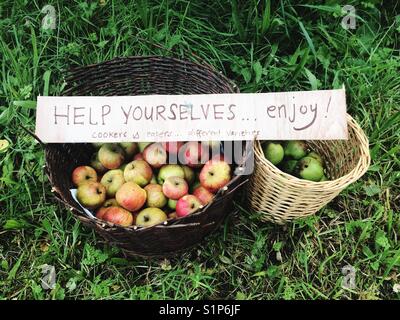 Paniers de pommes sur le bord de la route, Hampshire, Angleterre, Royaume-Uni. Banque D'Images