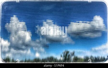 Réflexions : Ciel, nuages, arbres reflète au bord du lac Banque D'Images