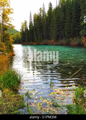 Lac olive, parc national Kootenay, C.-B., Canada Banque D'Images