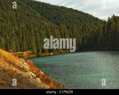 Lac olive, parc national Kootenay, C.-B., Canada Banque D'Images