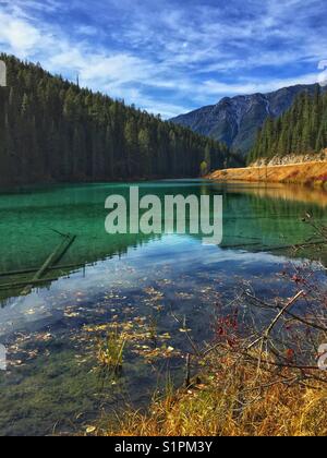 Lac olive, parc national Kootenay, C.-B., Canada Banque D'Images