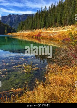 Lac olive, parc national Kootenay, C.-B., Canada Banque D'Images