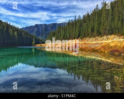 Lac olive, parc national Kootenay, C.-B., Canada Banque D'Images