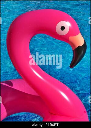 Une matière plastique, gonflable flamingo flotte dans une piscine. Une image graphique qui évoque des images de moments de plaisir et de vacances d'été ! Crédits photos - © COLIN HOSKINS. Banque D'Images