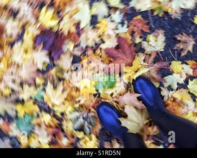Couleurs d'automne feuilles en mouvement sous les pieds dans des bottes en caoutchouc bleues Banque D'Images