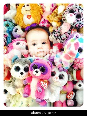 Ty Beanie Baby Boo enterrés dans les jouets Banque D'Images