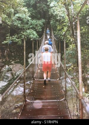 Pont pied attrayant pour l'accès à leurs "rain forest". Banque D'Images