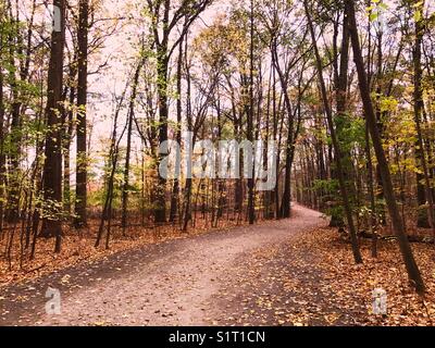 Une piste cyclable et pédestre serpentant à travers les bois pendant l'automne dans le parc d'État de Tallman, New Jersey, États-Unis. Banque D'Images