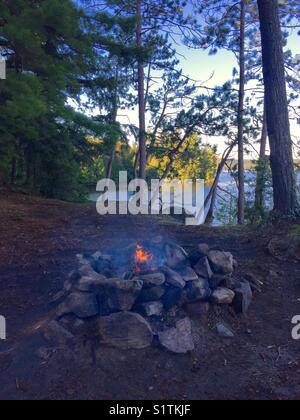Les flammes de feu de forêt au lac par portrait Banque D'Images