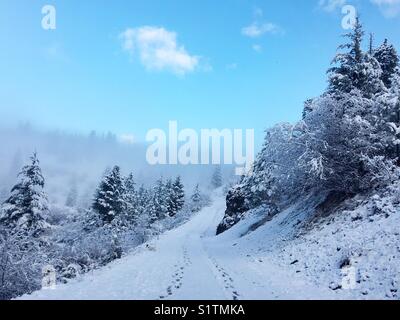 Paysage d'hiver. Sentier couvert de neige avec des empreintes menant sur une colline. Ciel bleu au-dessus. Au loin les arbres sont recouverts d'une couche de nuages bas. Banque D'Images