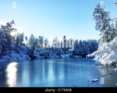 Paysage hivernal. La neige fraîche recouvre les arbres autour du petit lac gelé. Le soleil tôt le matin brille à travers les arbres au loin avec la lumière du soleil se reflétant sur la glace. Ciel bleu pastel au-dessus. Banque D'Images