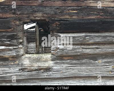 Une vieille maison abandonnée avec les traces du temps sur les murs. La fenêtre était coupée. sciage dans les fissures, rongé par le bostryche, traces d'humidité. Banque D'Images