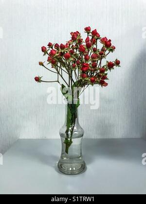 Bouquet de petites roses dans un vase en verre transparent. Banque D'Images