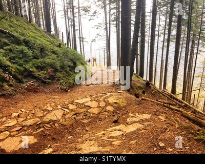 Piste touristique de Pec pod Snezkou en République tchèque à crête de montagne Snezka Banque D'Images