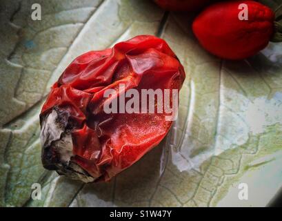 Tomate pourrie sur une plaque en céramique fait main Banque D'Images